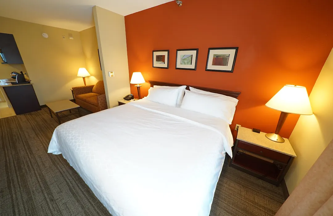 Holiday Inn Express Hotel & Suites Tampa-Oldsmar By Ihg-1