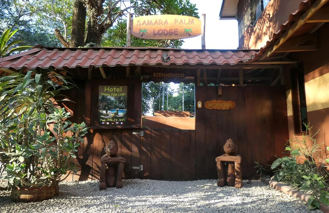 Samara Palm Lodge-1
