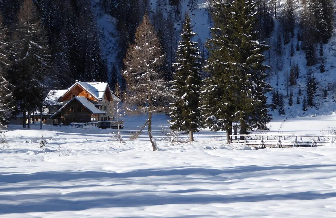 Dolomiti Hotel Cozzio-1