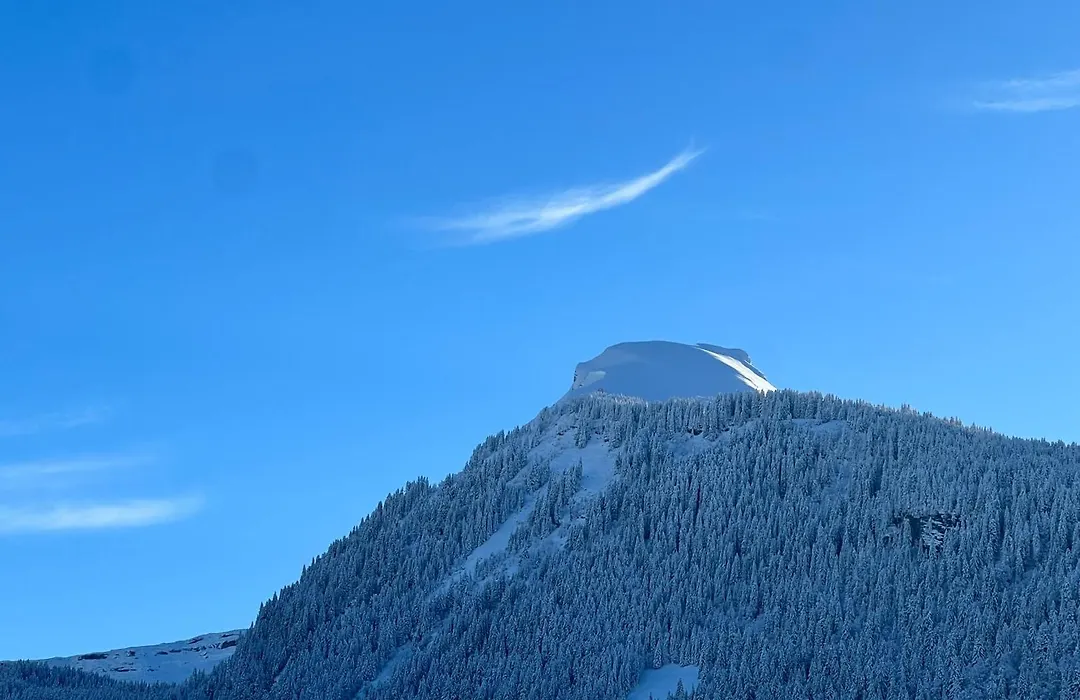 Hotel Igloo-1
