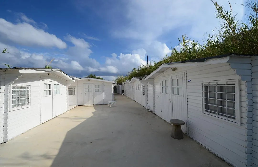 Paradise Beach Camping - Adults Only-1