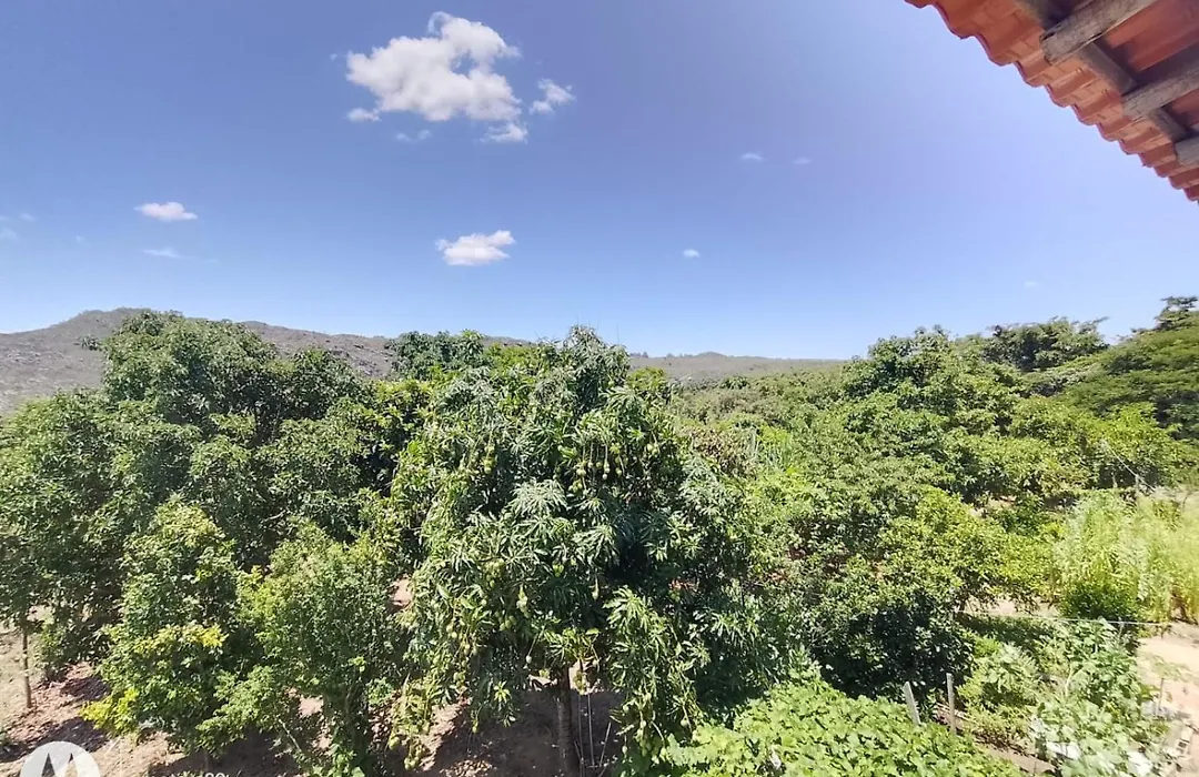 Cantinho da Vovó Lucinda-1