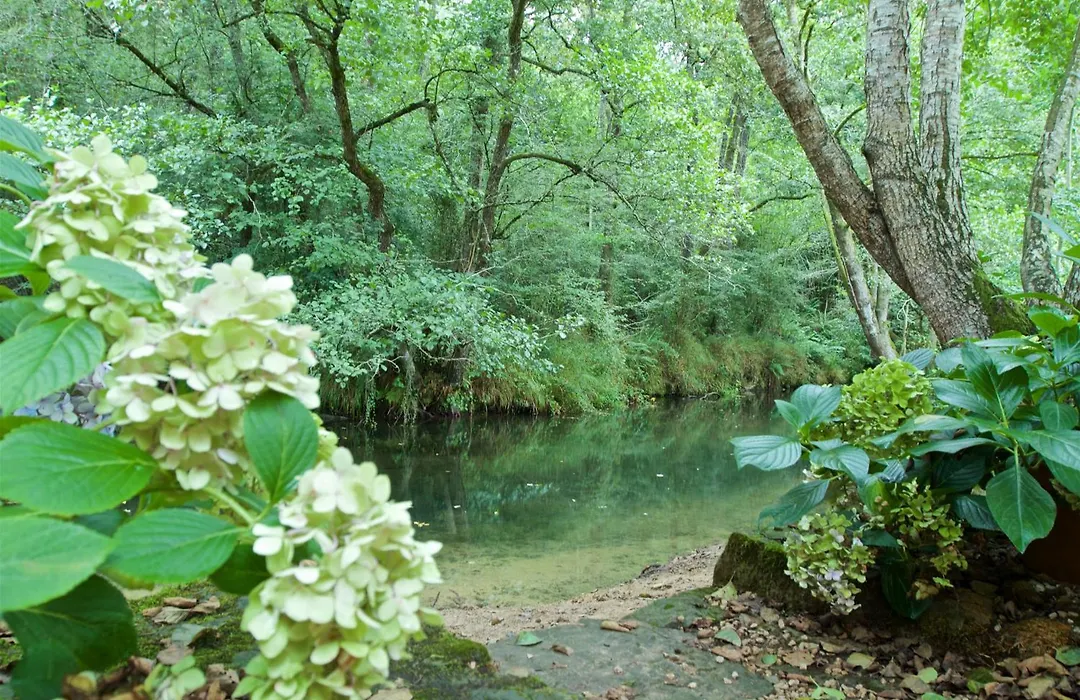 Posada PetFriendly El Molino de Cantabria B&B-1
