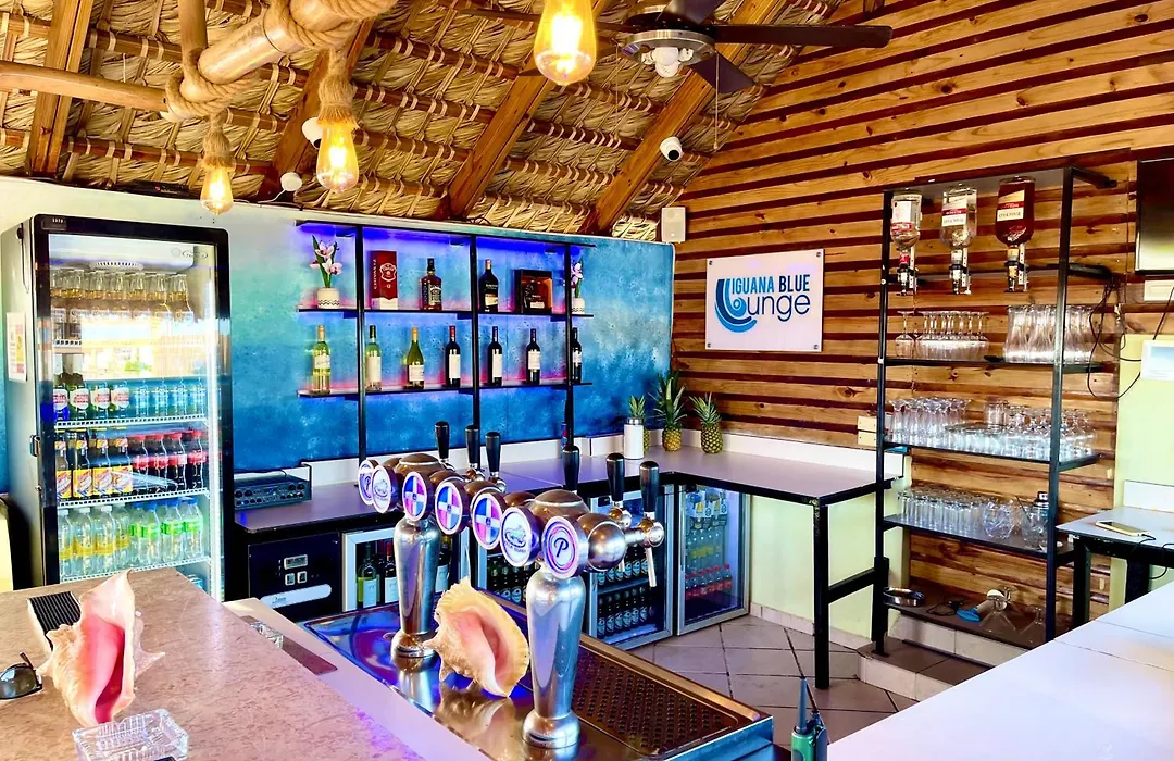 Villa Iguana-1