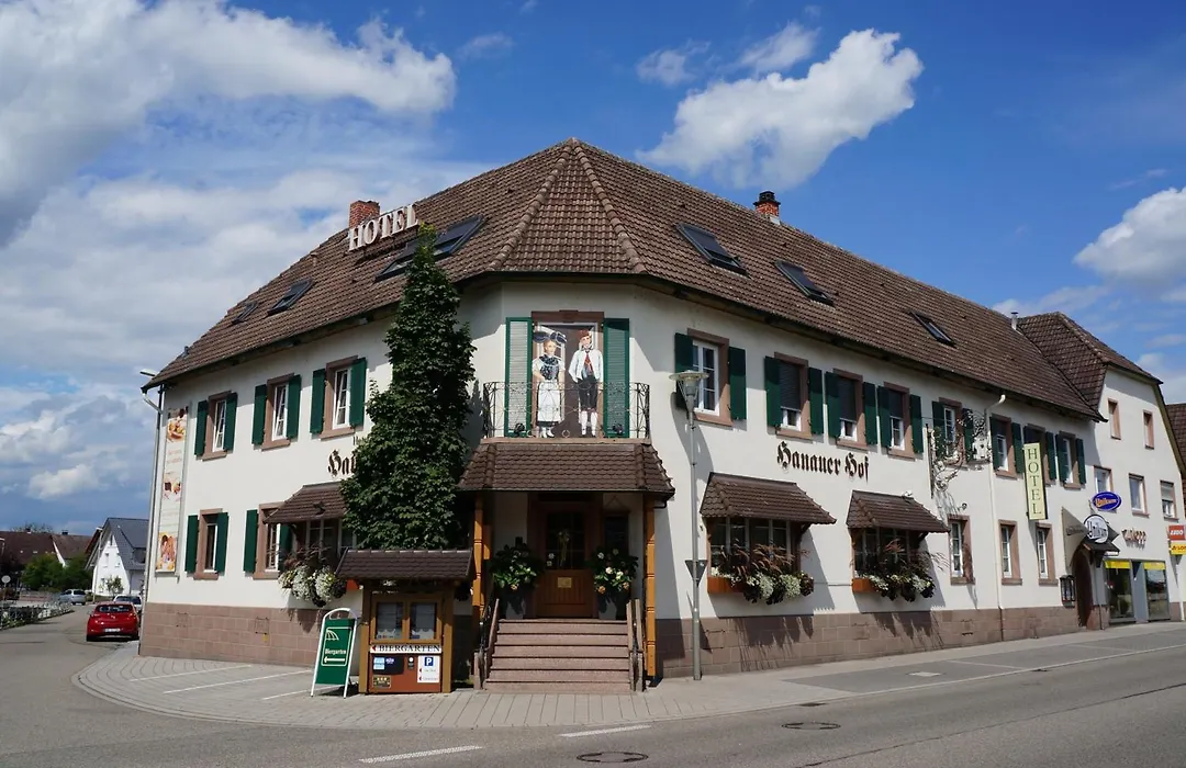 Hotel Hanauerhof-1