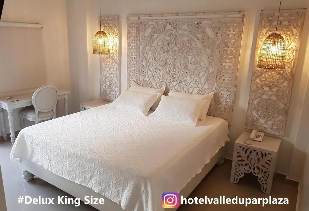 Hotel Valledupar Plaza-1