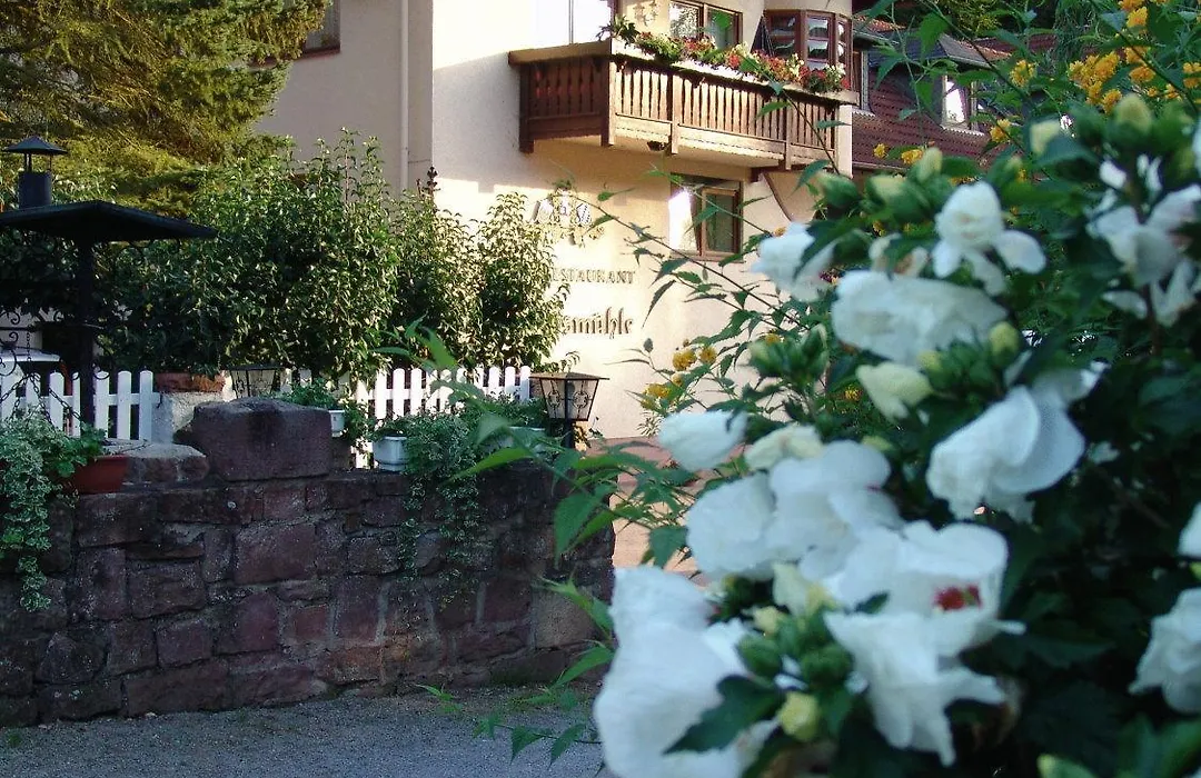 Hotel Restaurant Paradeismühle-1