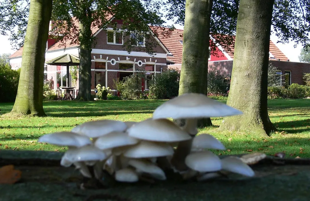 Hotel restaurant Nieuw Beusink-1