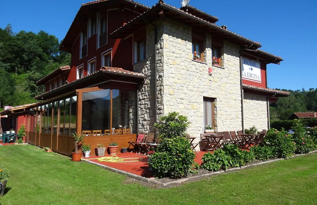 Hotel La Ercina-1