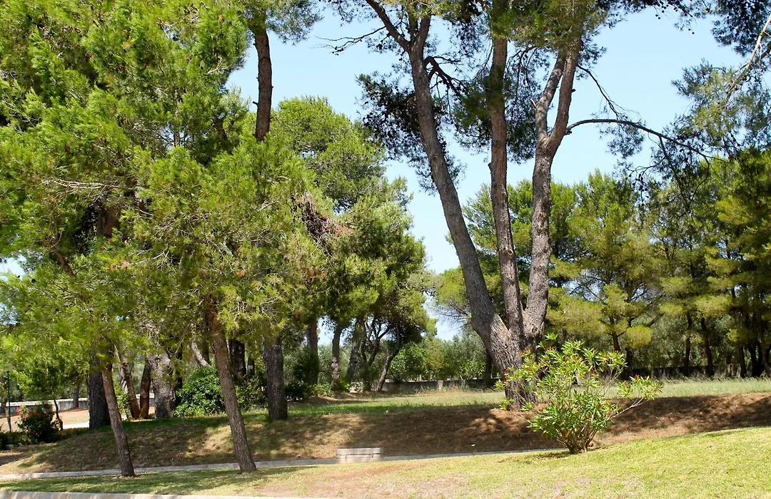 Masseria Fabrizio-1