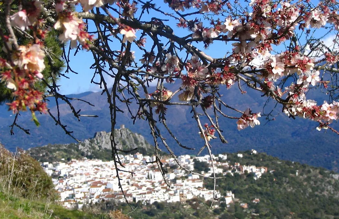 La Fructuosa-1