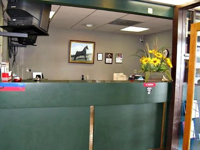 Walking Horse Lodge-1