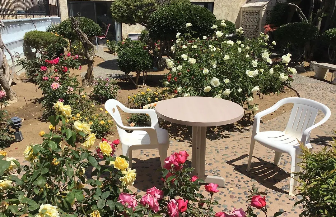 Americas Best Value Inn And Suites -Yucca Valley-1