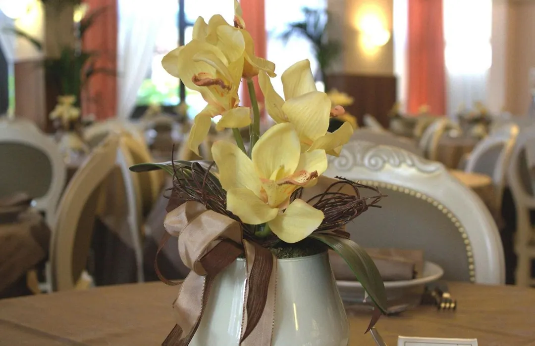 Hotel Donatella Pinarella-1