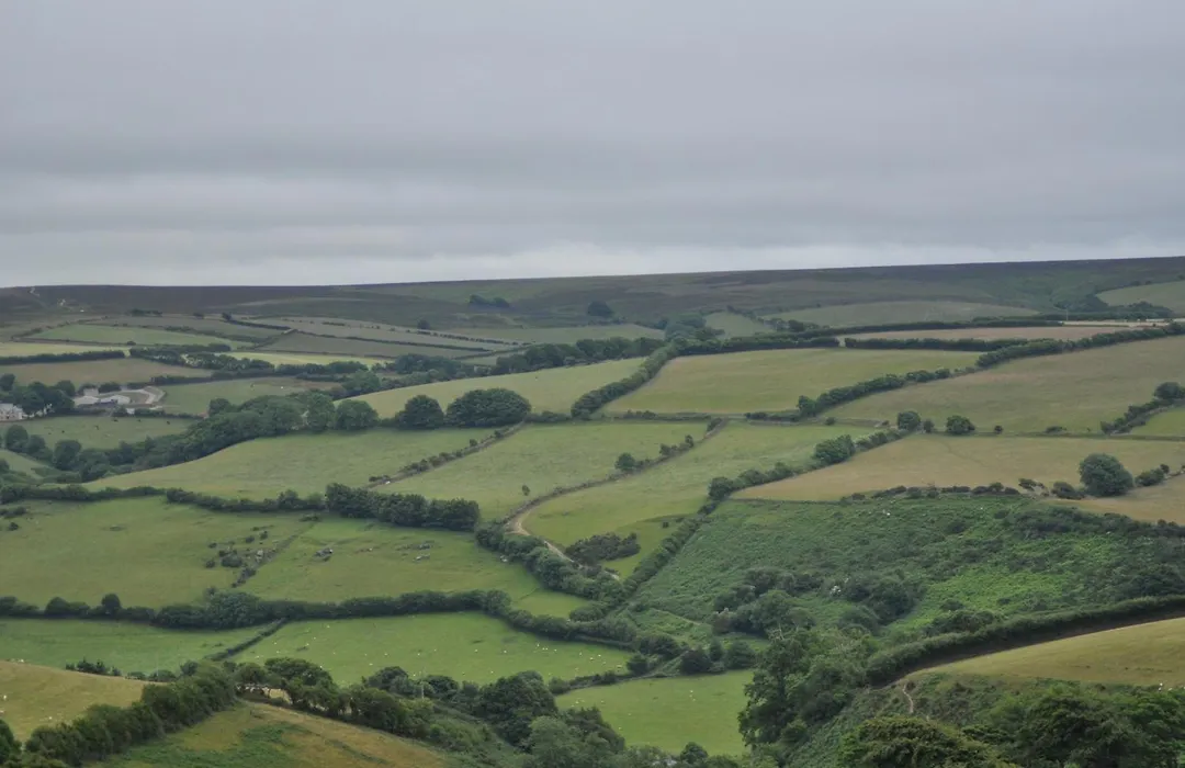 Coombe Farm-1