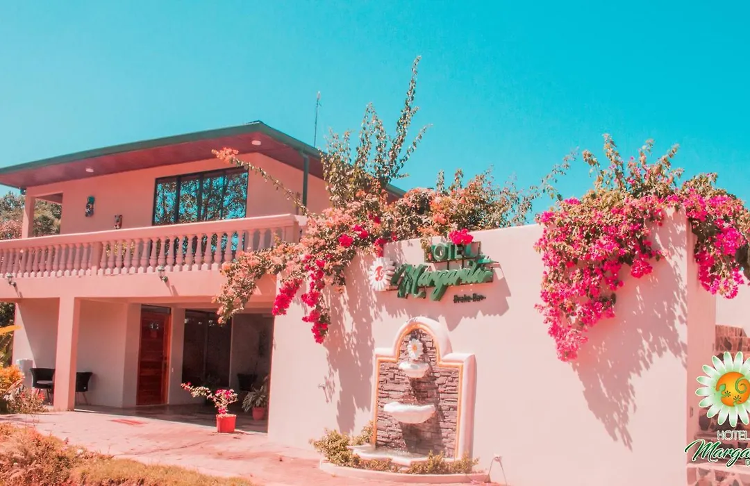 Hotel Margarita And Tour Operator Drake Bay-1