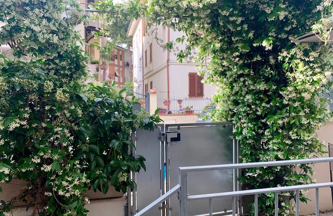 B&B Villa Pini-1