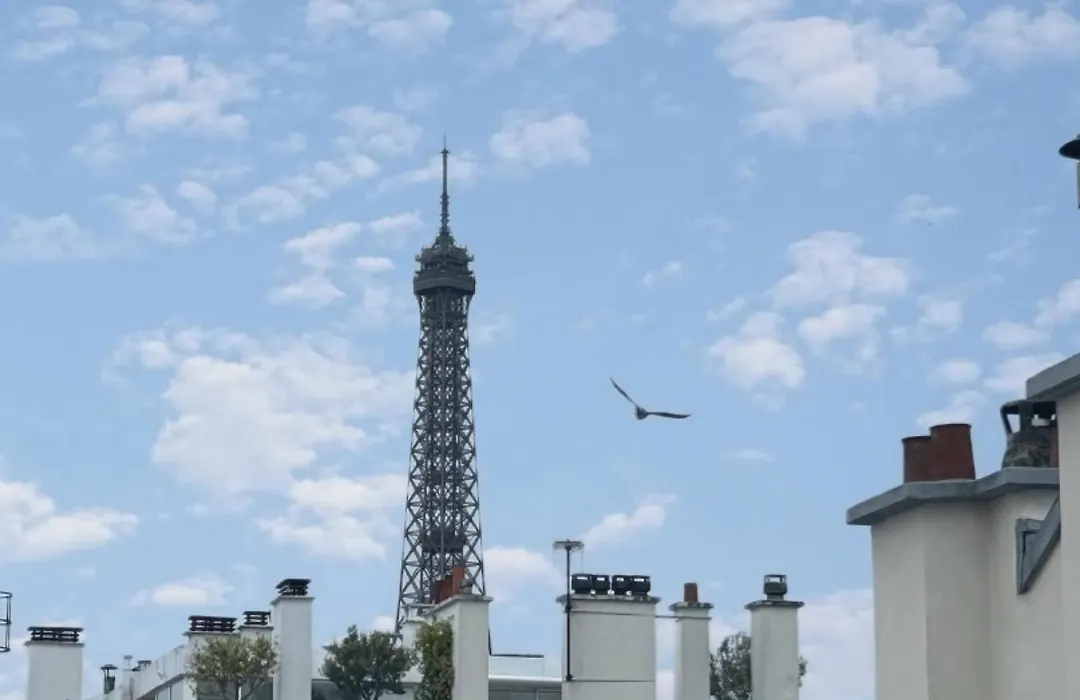 Hotel Villa Nicolo - Tour Eiffel-1