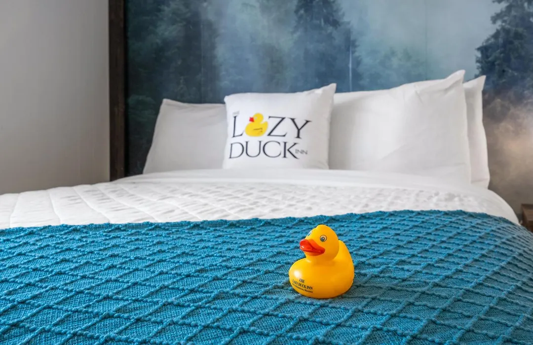 The Lazy Duck Inn-1