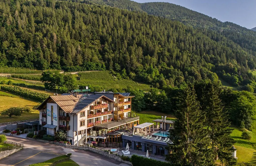Hotel Ariston Garden & Spa-1