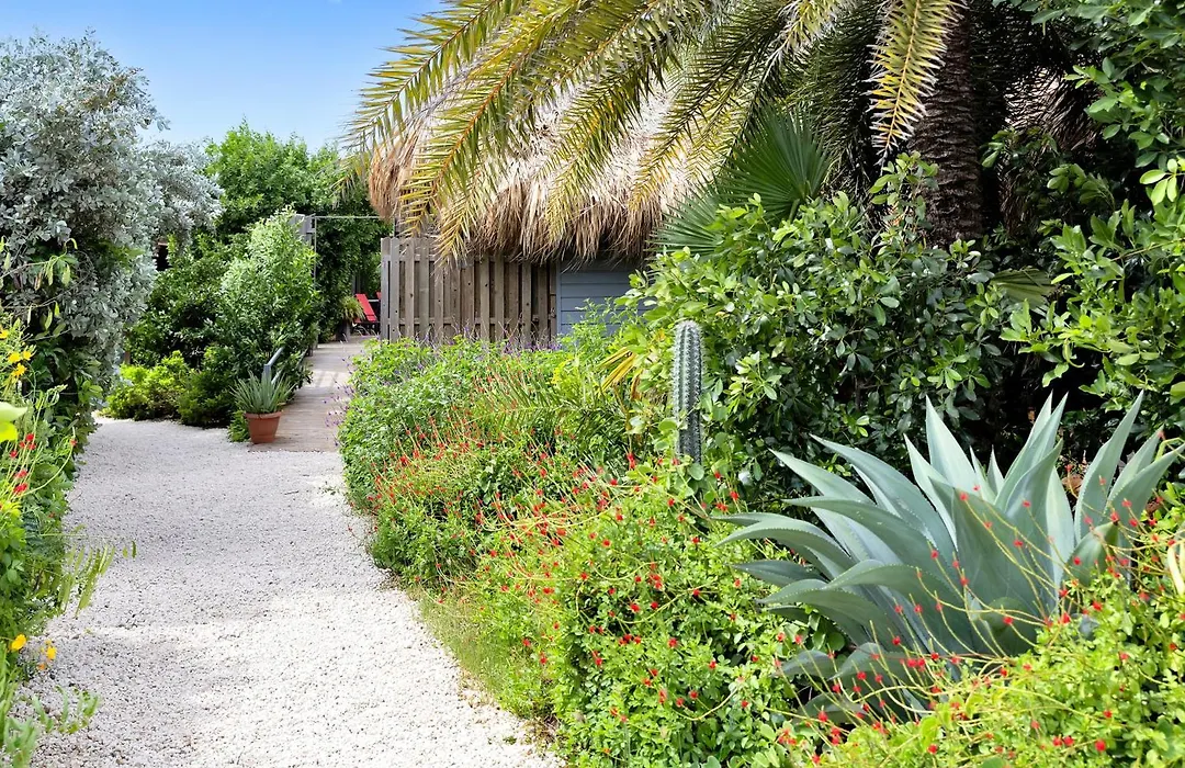 Red Palm Village-1