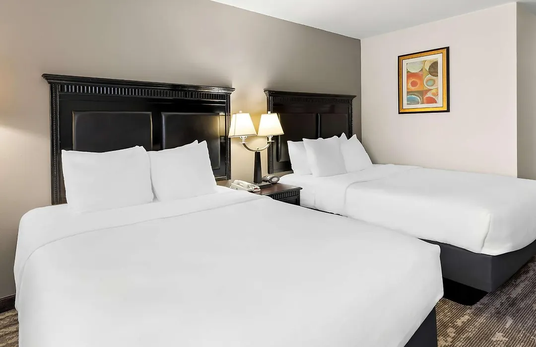 Best Western Saluki Inn-1