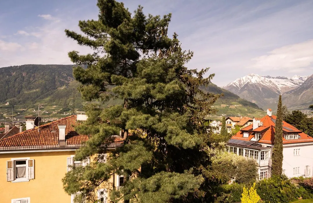 Hotel Villa Laurus-1