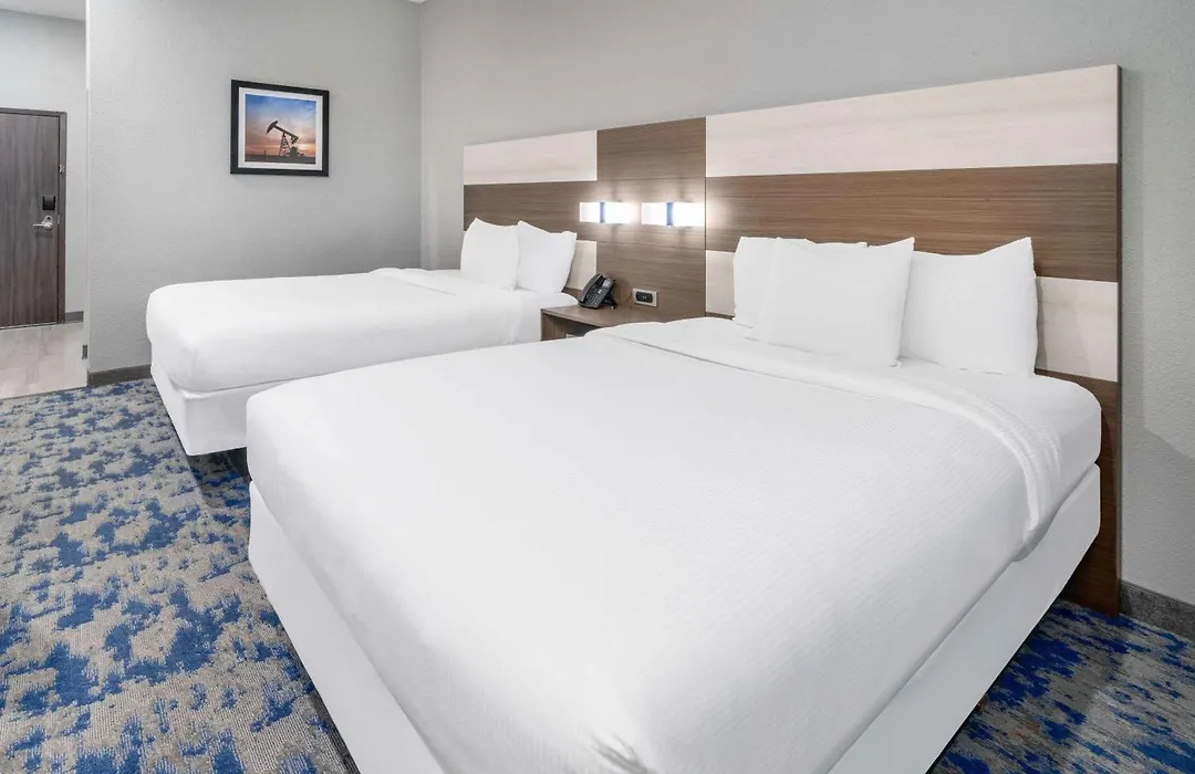 Baymont By Wyndham Carlsbad Nm-1