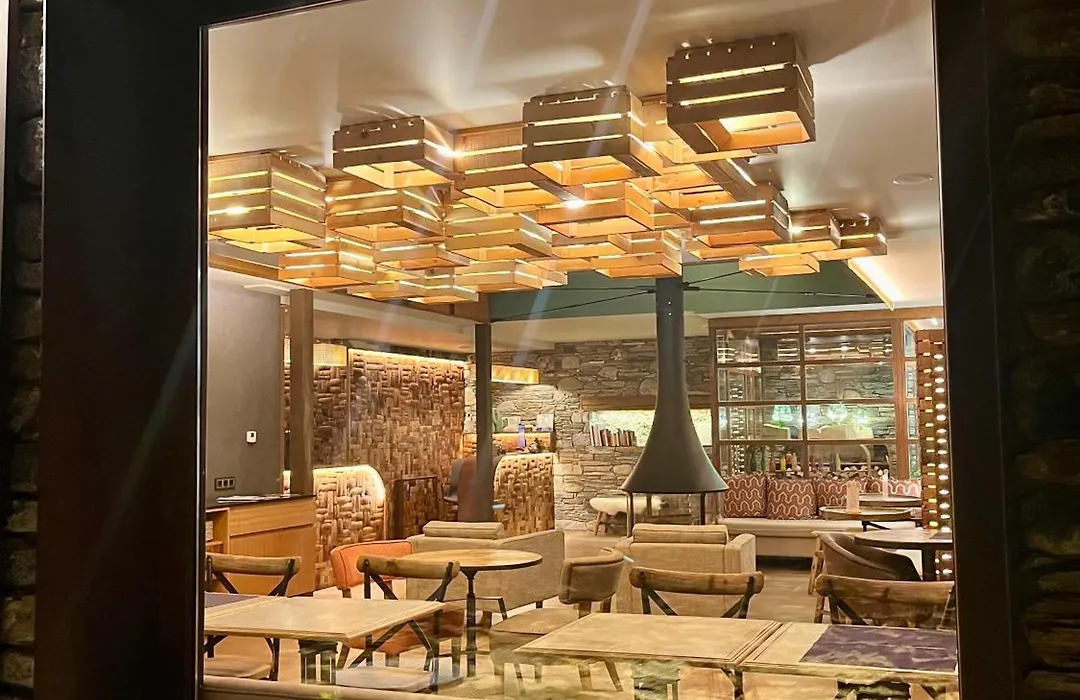 Hotel Boutique La Neu-1