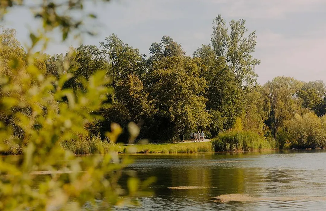 Azur Waldcamping Auwaldsee-1