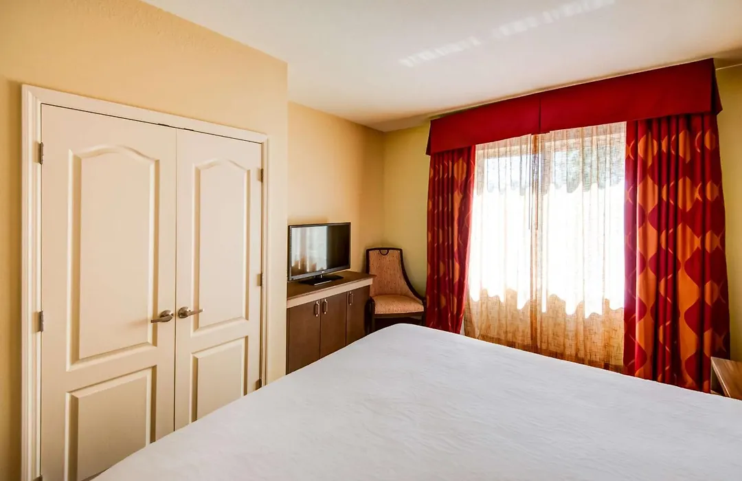 Hilton Garden Inn Tampa Ybor Historic District-1