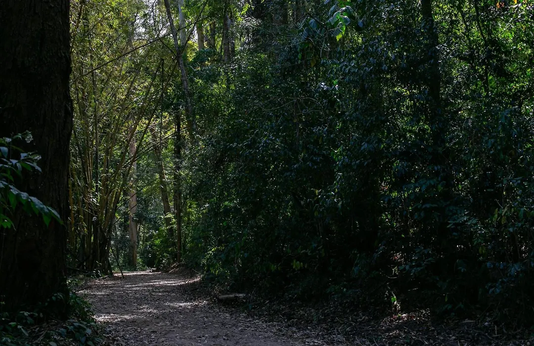 Pousada Vale das Águas-1