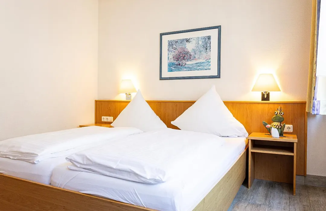 Hotel Aulmann-1