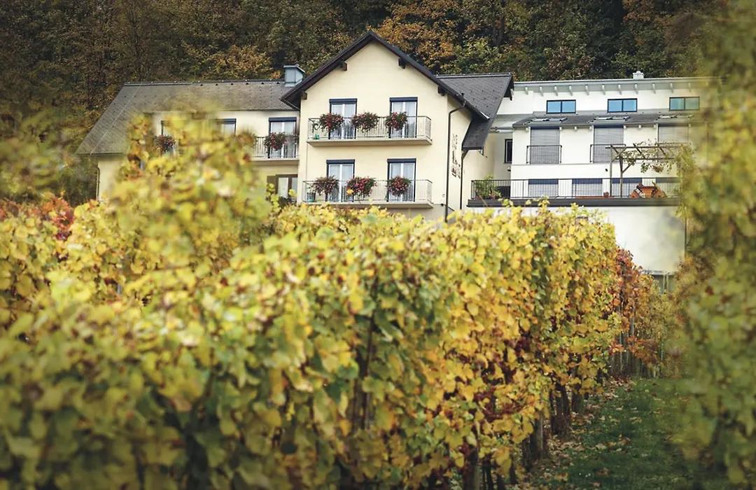 Sonnenterrasse Klöcklschuster-1