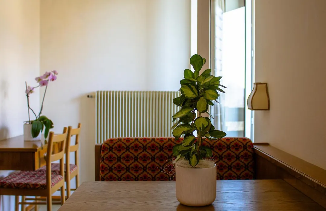 Locanda La Ruscoletta-1
