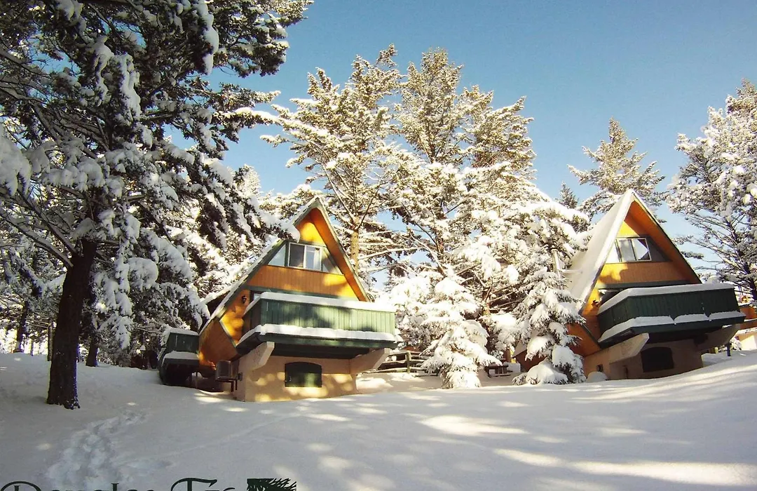 Douglas Fir Resort & Chalets-1