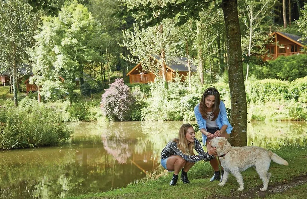 Bulworthy Forest Lodges-1