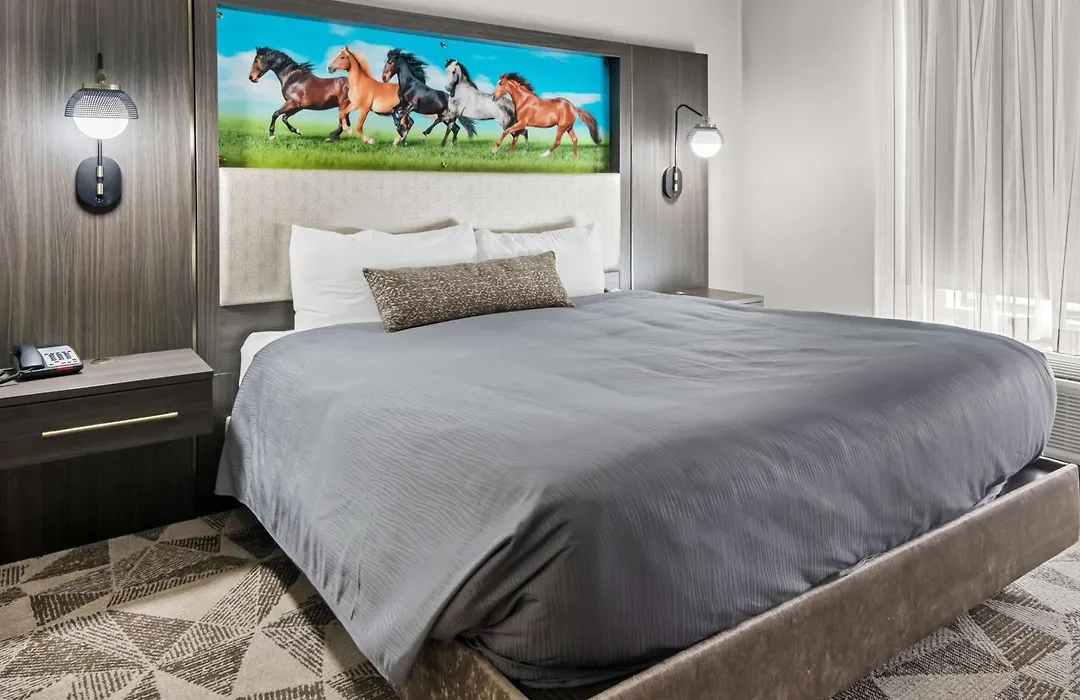 Big Country Hotel & Suites, Surestay Collection By BW-1