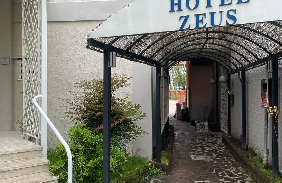 Hotel Zeus-1