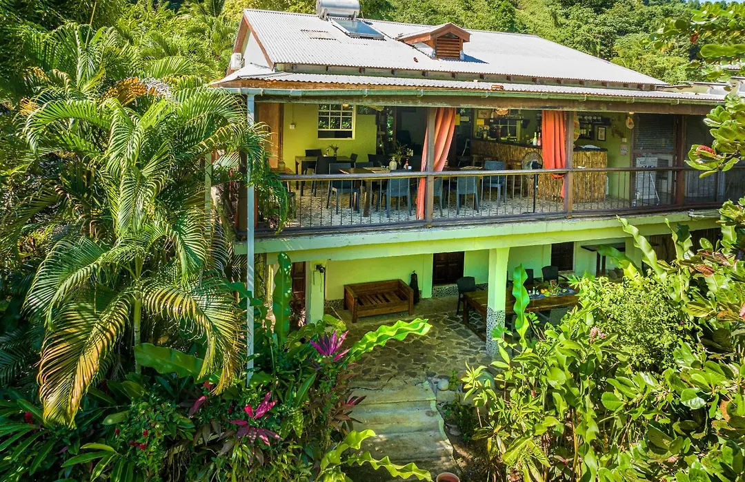 Hibiscus Valley Inn-1