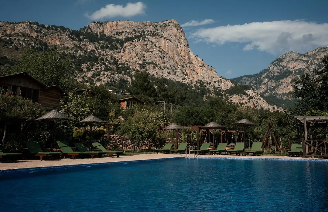 Olive Garden Kabak-1