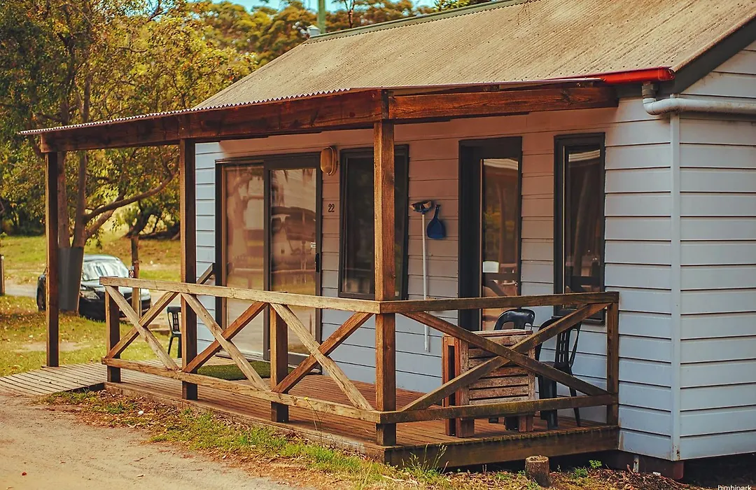 Bimbi Park - Camping Under Koalas-1