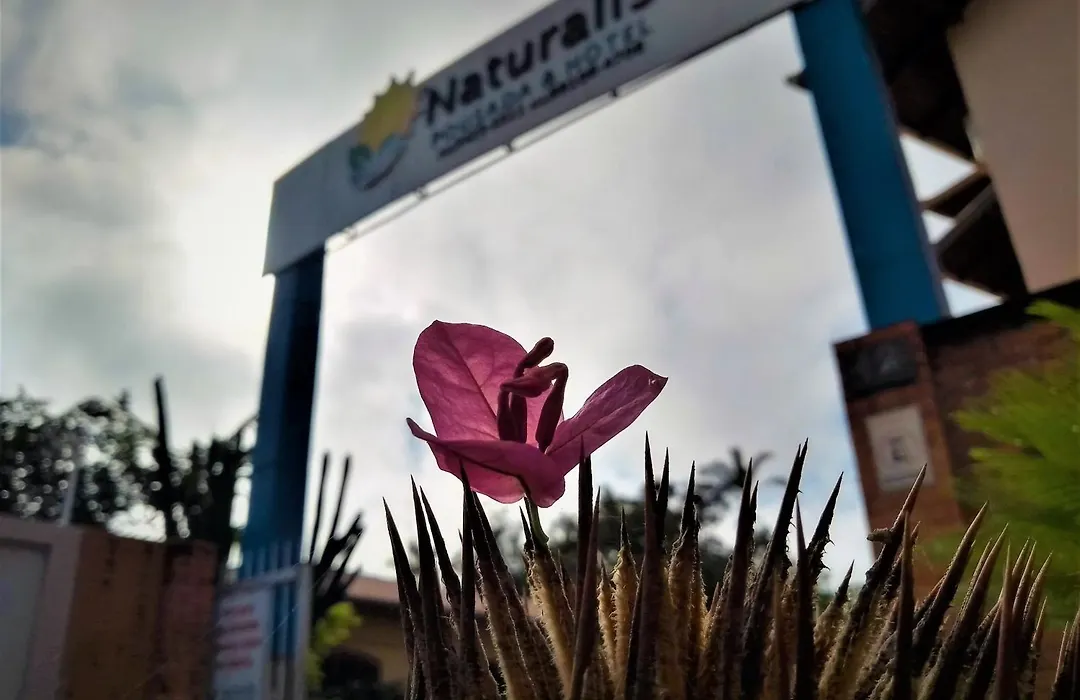 Hotel Naturalis-1