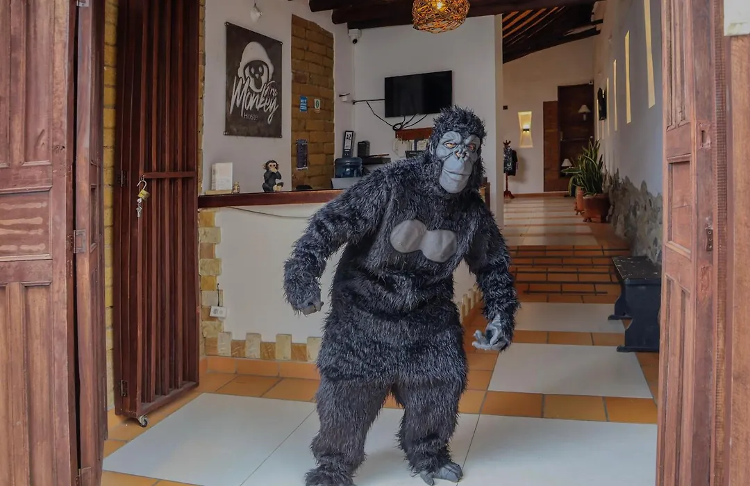 Trip Monkey Origen-1
