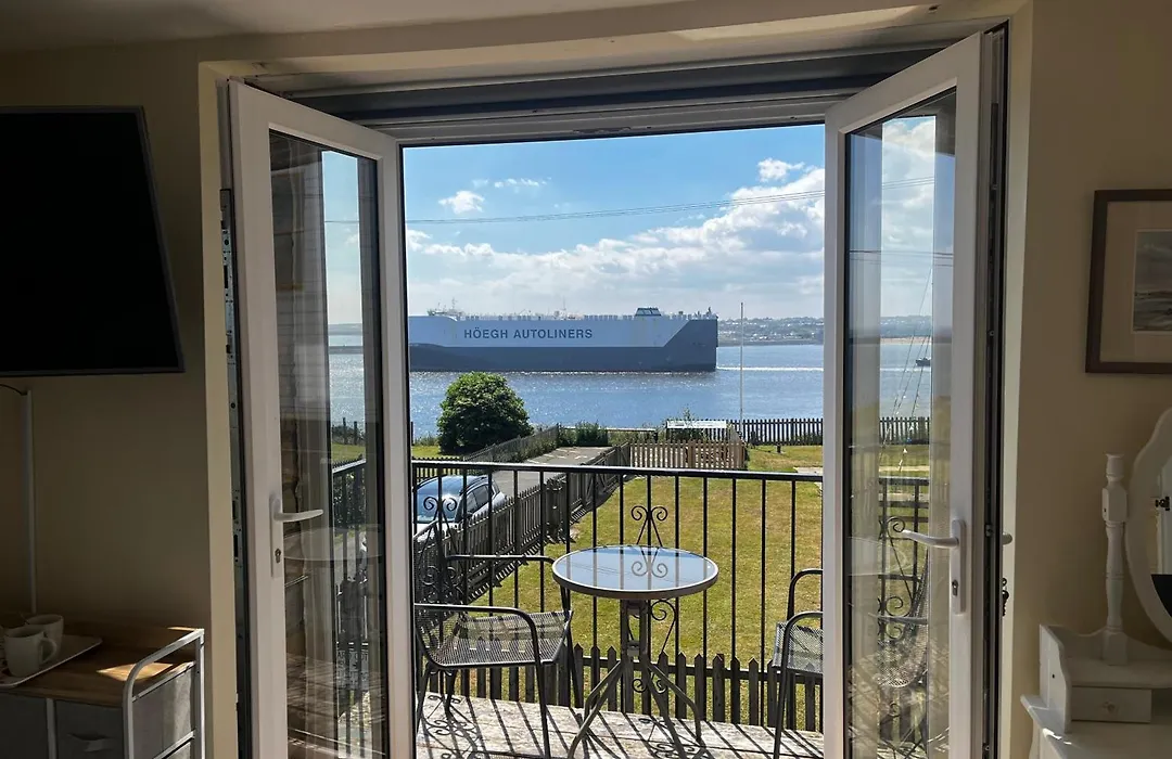 The View-1