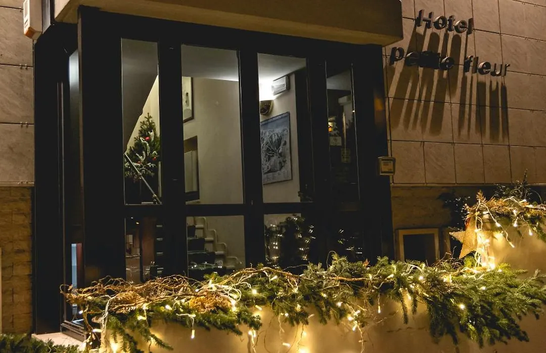 Hotel Petite Fleur-1