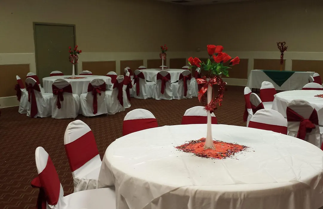 Romana Hotel - Houston Southwest-1