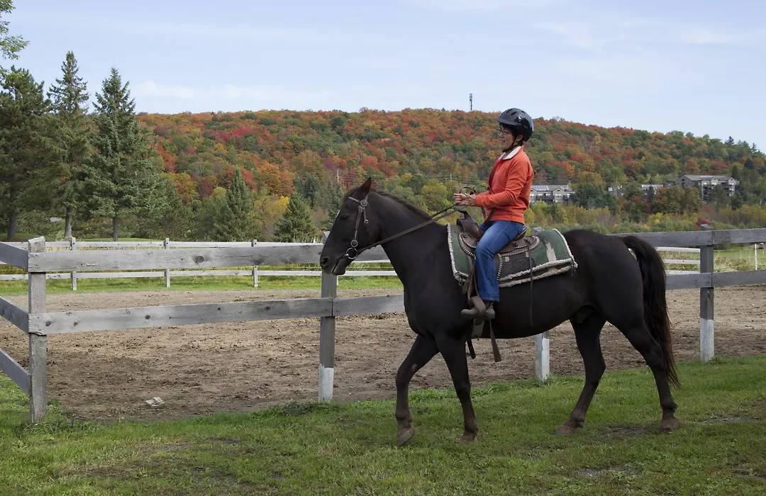 Deerhurst Resort-1