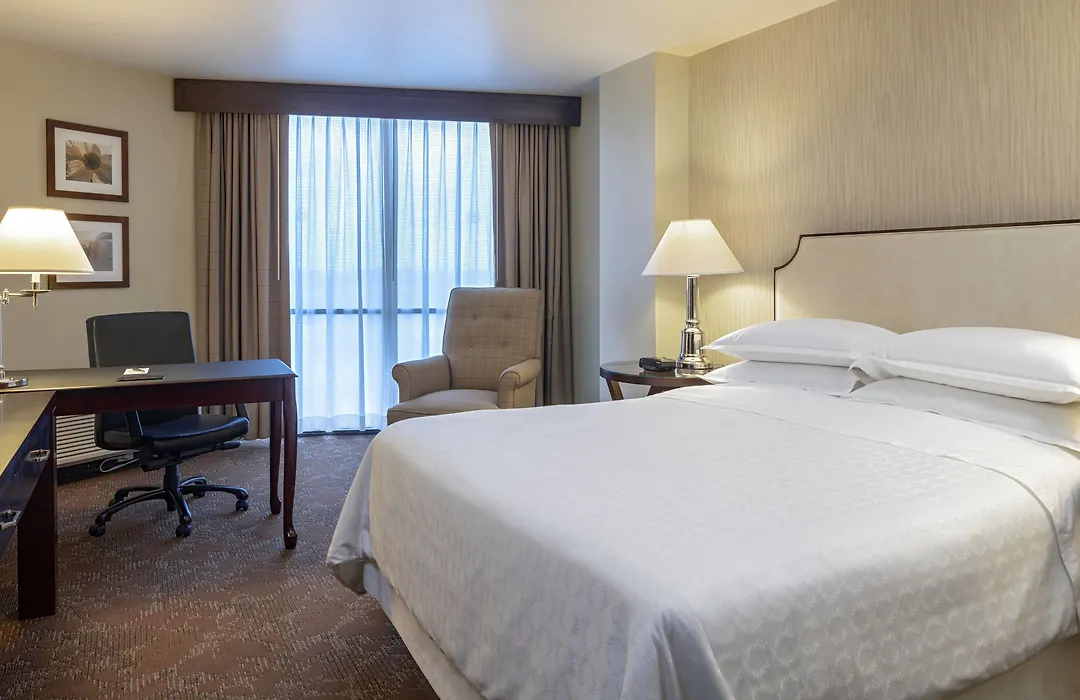 Sheraton Houston Brookhollow Hotel-1