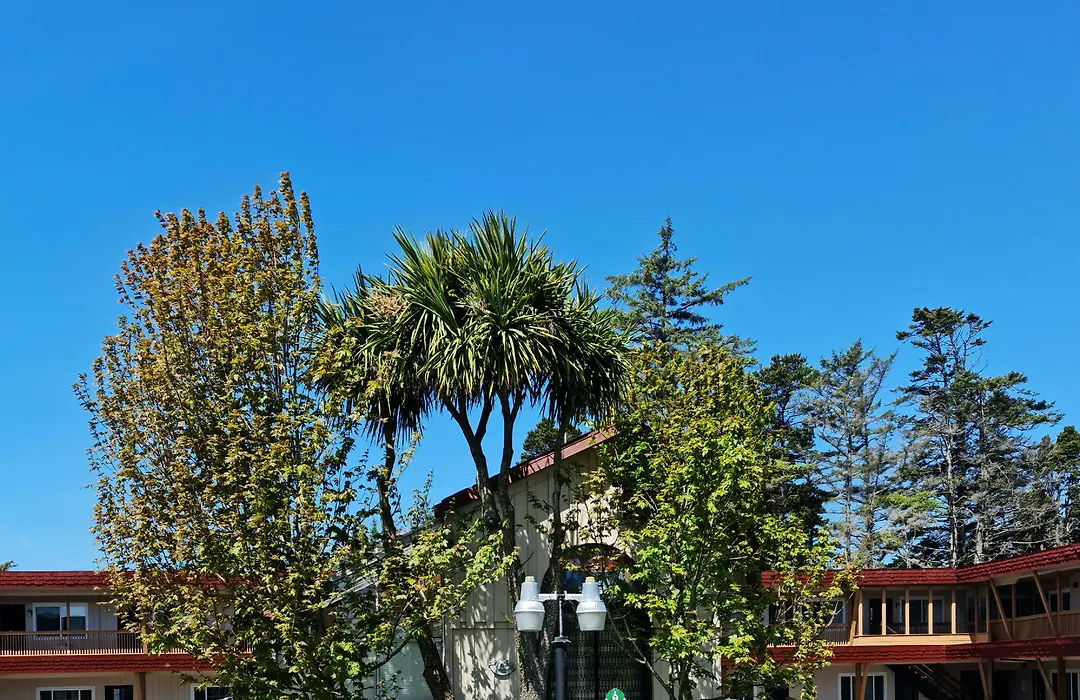 North Coast Inn-1